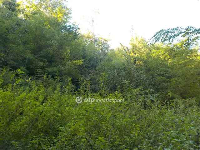 Eladó telek Kaposvár 2573 nm