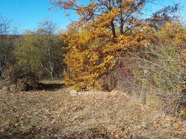Eladó nyaraló Kaposvár 37 nm