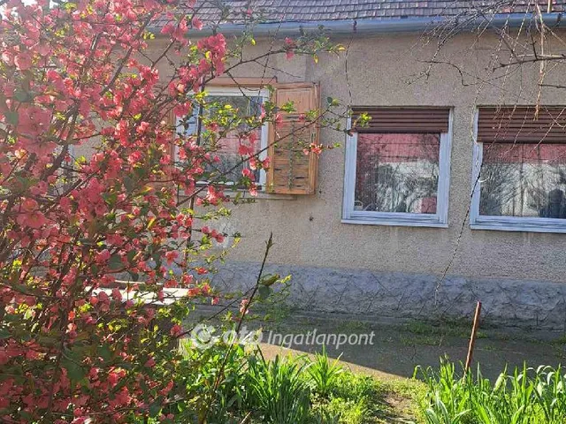 Eladó ház Szigethalom 85 nm