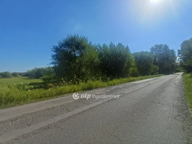 Eladó mezőgazdasági ingatlan Dunaharaszti 1924 nm
