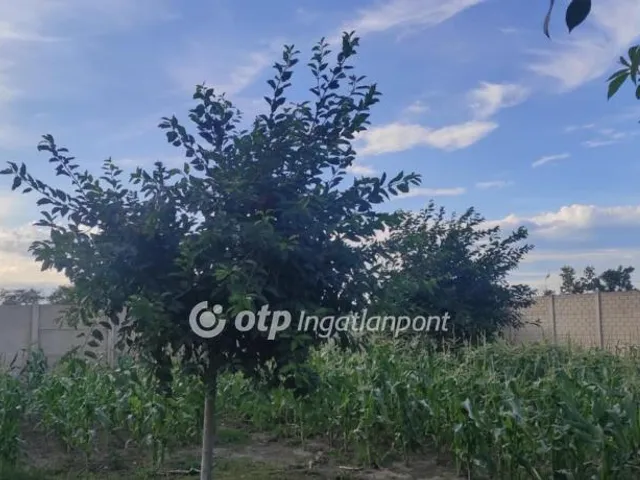 Eladó telek Szigetszentmiklós 28 nm