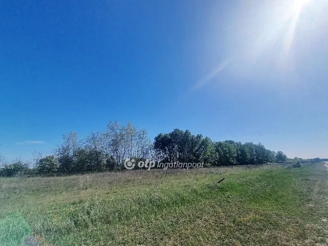 Eladó mezőgazdasági ingatlan Izsák 250 nm