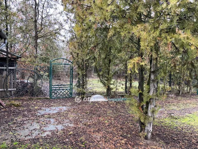 Eladó telek Szigetszentmiklós, Bucka 969 nm