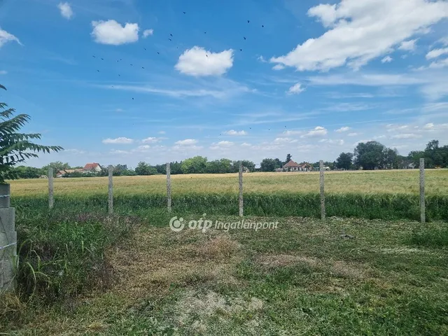 Eladó telek Szalkszentmárton 4769 nm
