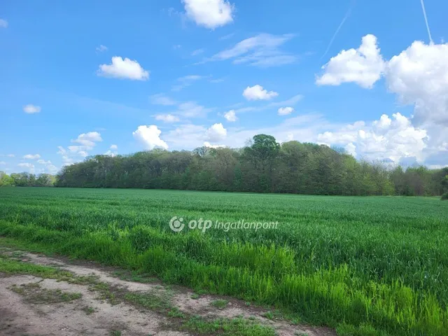 Eladó ház Zsámbok 92 nm