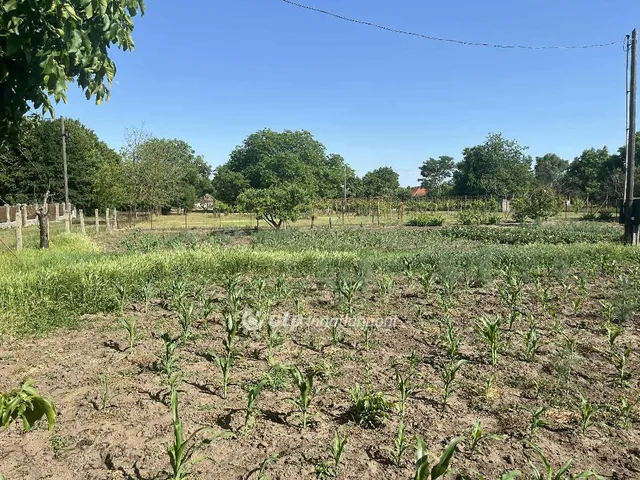 Eladó telek Cegléd 2229 nm