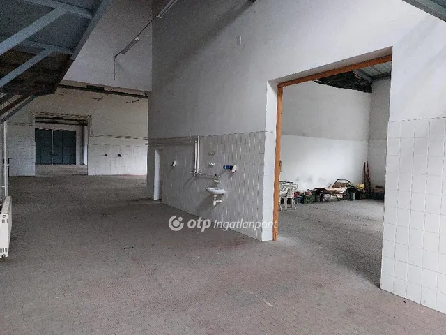 Eladó kereskedelmi és ipari ingatlan Mohács 752 nm