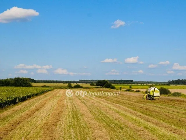Eladó mezőgazdasági ingatlan Jászberény 8385 nm
