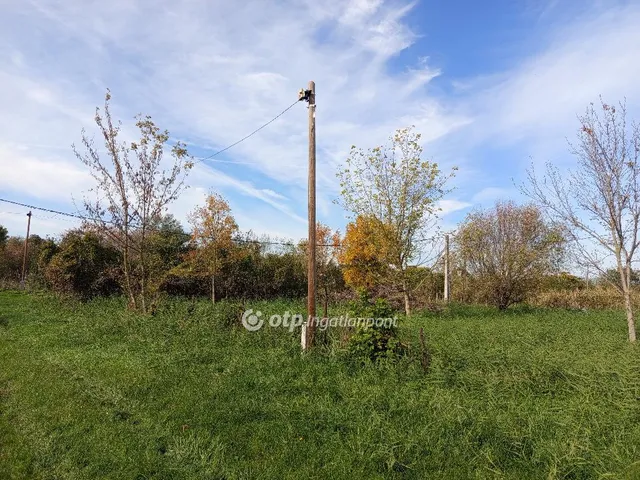 Eladó telek Tiszaföldvár 375 nm