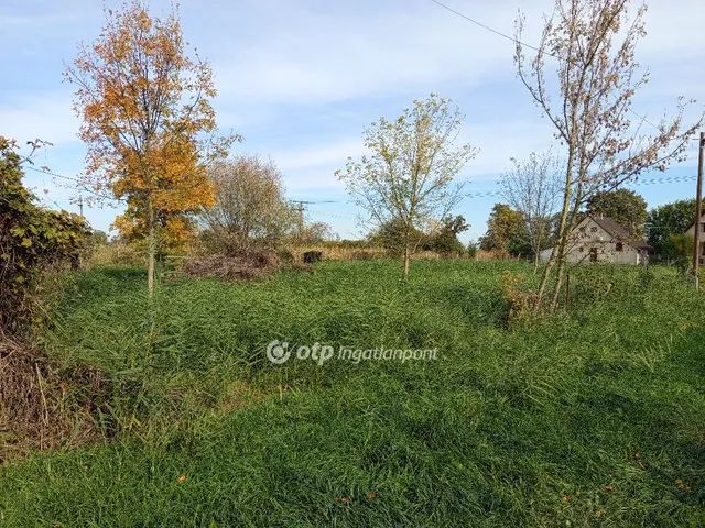 Eladó telek Tiszaföldvár 375 nm