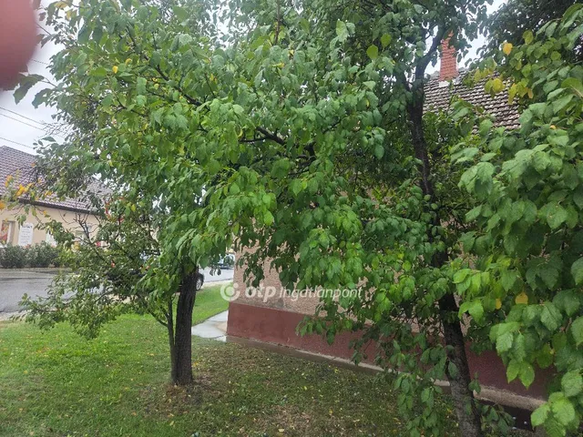 Eladó ház Abony 148 nm