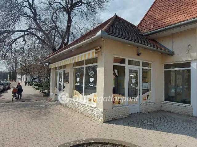 Eladó kereskedelmi és ipari ingatlan Kunszentmárton 20 nm
