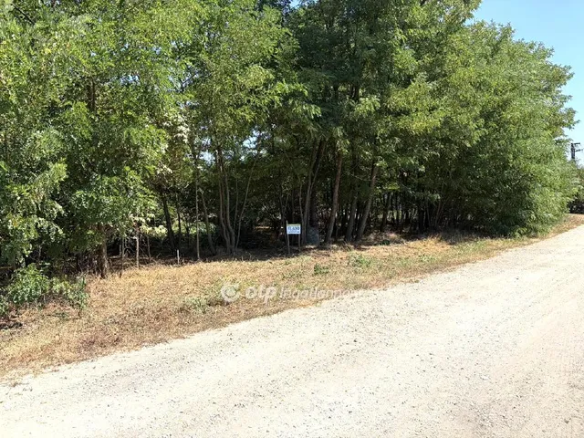 Eladó telek Cserkeszőlő 1513 nm