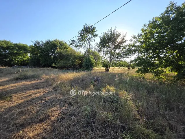 Eladó telek Cserkeszőlő 1513 nm