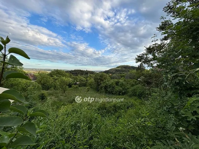 Eladó telek Budaörs, Frankhegy 2699 nm