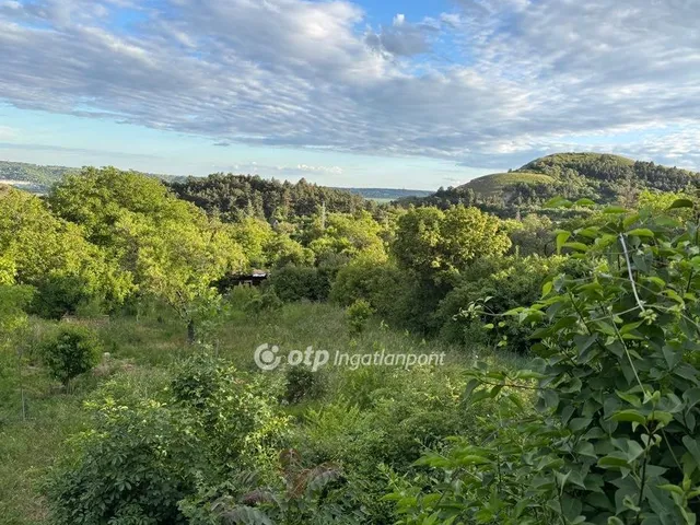 Eladó telek Budaörs, Frankhegy 2699 nm