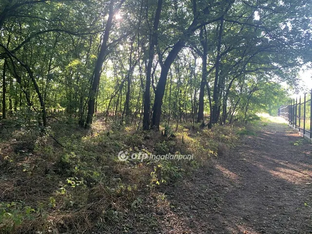 Eladó telek Tápiószőlős 5526 nm