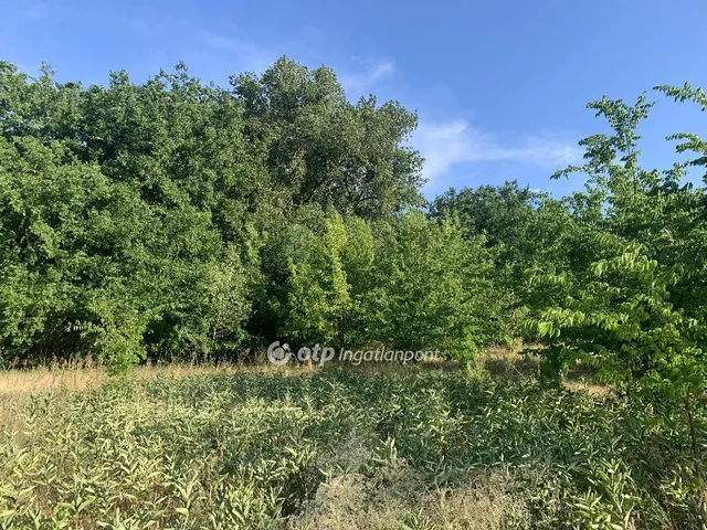 Eladó telek Tápiószőlős 5526 nm