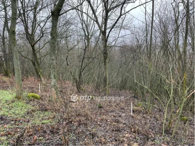 Eladó telek Tahitótfalu 1215 nm