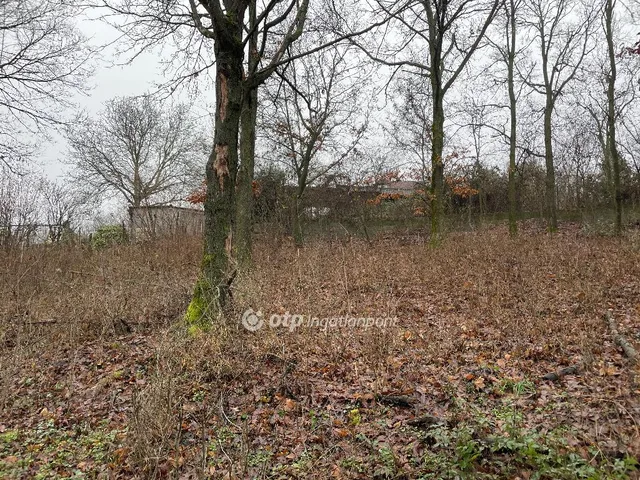 Eladó telek Tahitótfalu 1651 nm