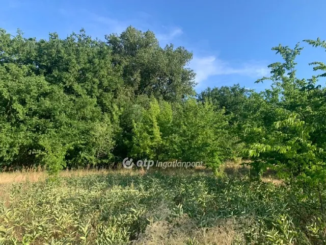 Eladó telek Balatonalmádi 593 nm