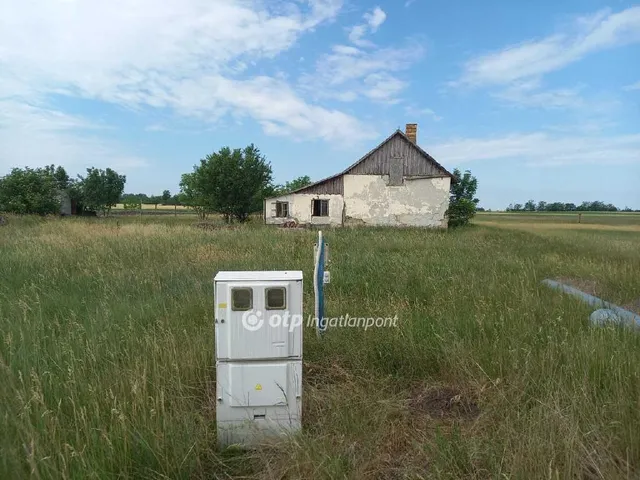 Eladó mezőgazdasági ingatlan Csongrád, Vasútállomás 159818 nm