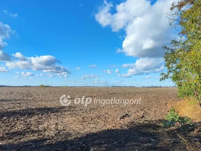 Eladó mezőgazdasági ingatlan Mezőkovácsháza, Külterület 2131 nm