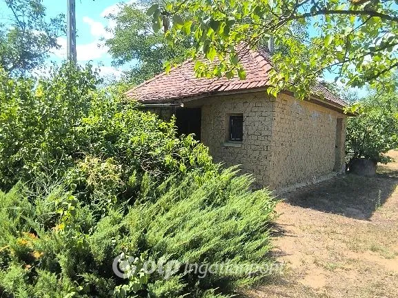 Eladó üdülő és hétvégi ház Csongrád, Öregszőlők 22 nm