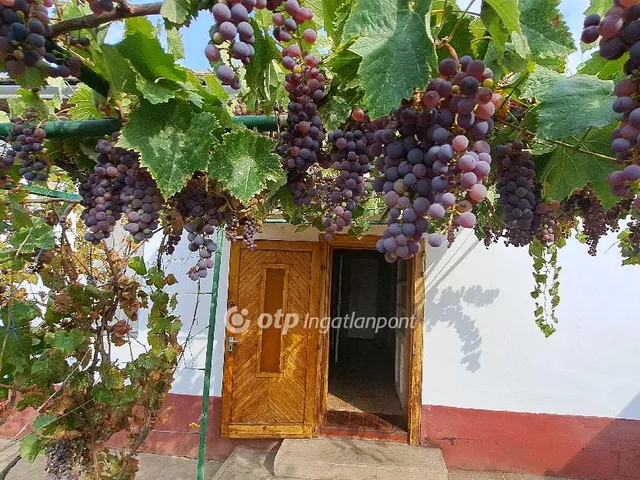 Eladó ház Mezőkovácsháza 76 nm