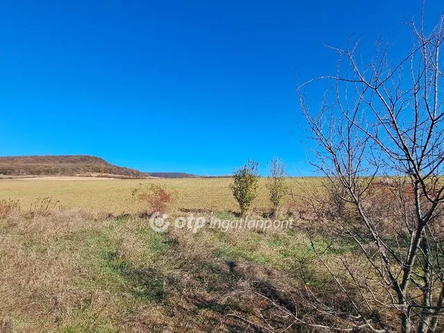 Eladó telek Pilisborosjenő 23925 nm