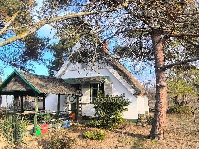 Eladó üdülő és hétvégi ház Csongrád 30 nm