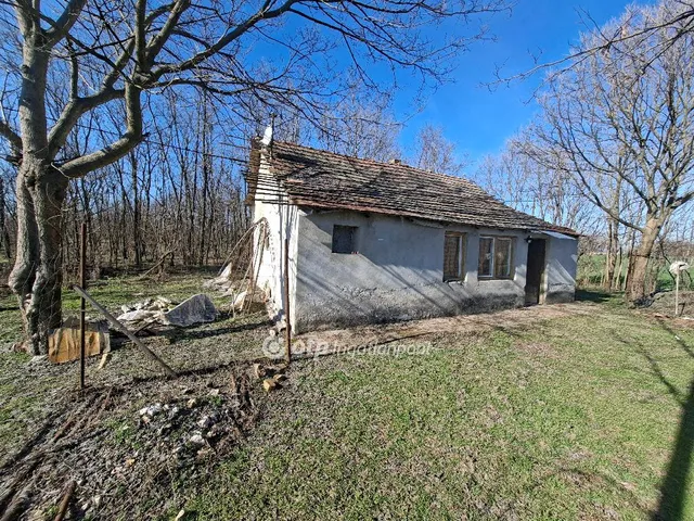 Eladó mezőgazdasági ingatlan Petőfiszállás 45 nm