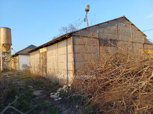 Eladó kereskedelmi és ipari ingatlan Csongrád 413 nm