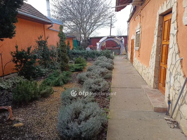 Eladó ház Csongrád 258 nm