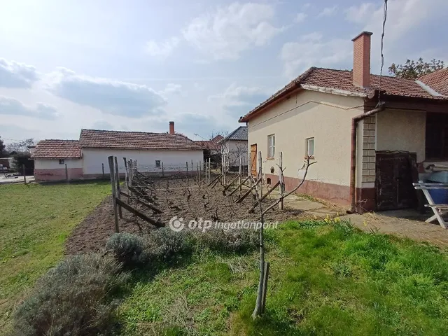 Eladó ház Csanytelek 91 nm