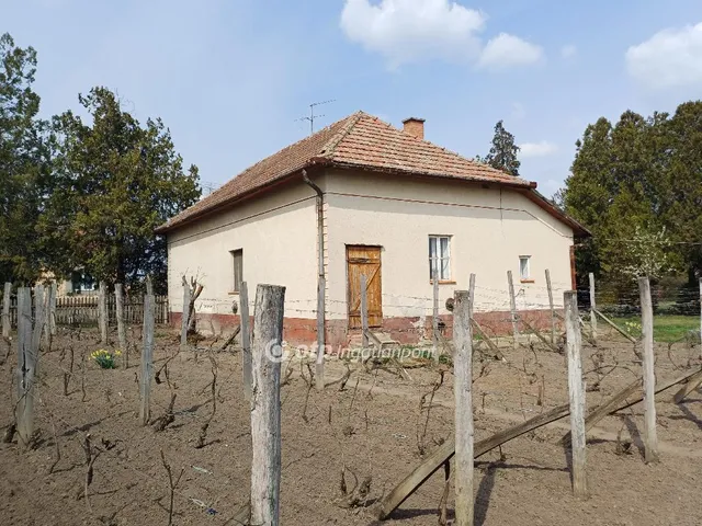 Eladó ház Csanytelek 91 nm