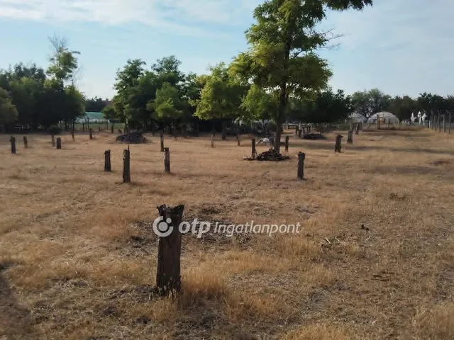 Eladó telek Felgyő 3943 nm
