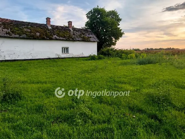 Eladó mezőgazdasági ingatlan Csanytelek 450 nm