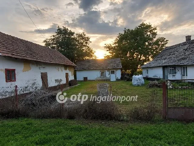 Eladó mezőgazdasági ingatlan Csanytelek 450 nm