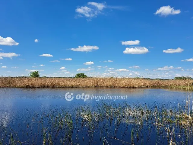 Eladó telek Tiszapüspöki 803 nm