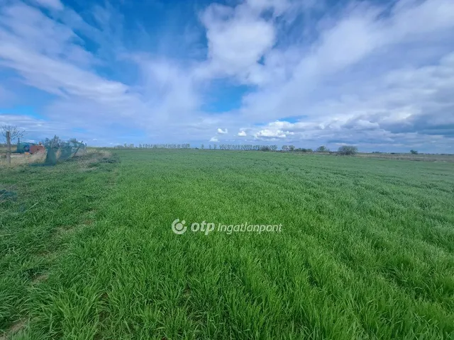 Eladó mezőgazdasági ingatlan Kisújszállás 148730 nm