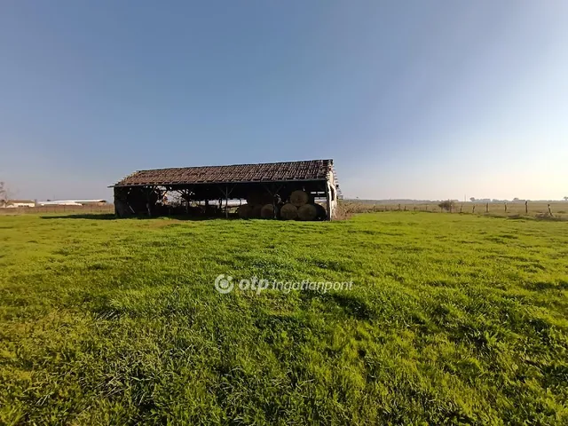 Eladó telek Tiszaföldvár 780 nm