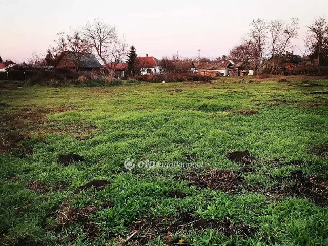 Eladó telek Tiszaszőlős 2317 nm