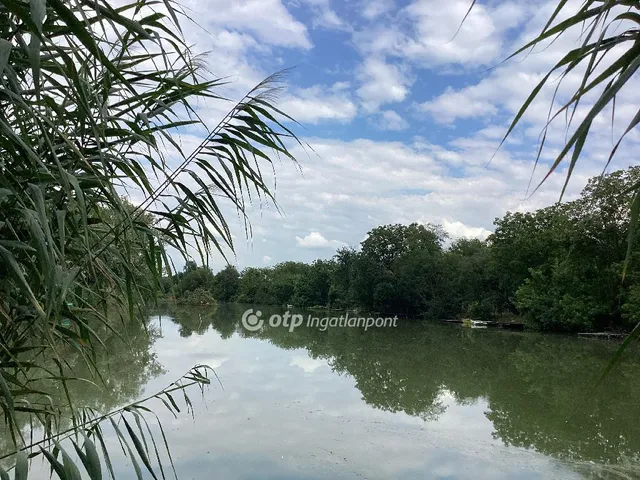 Eladó üdülő és hétvégi ház Gyomaendrőd, Sirató 24 nm