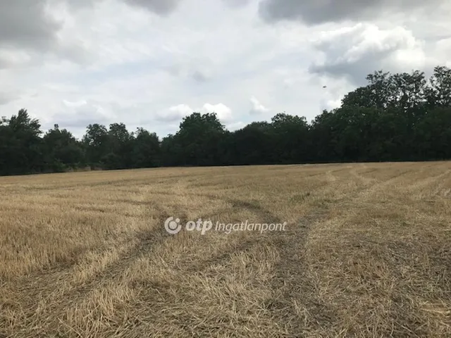 Eladó telek Gyomaendrőd, Sirató 777 nm