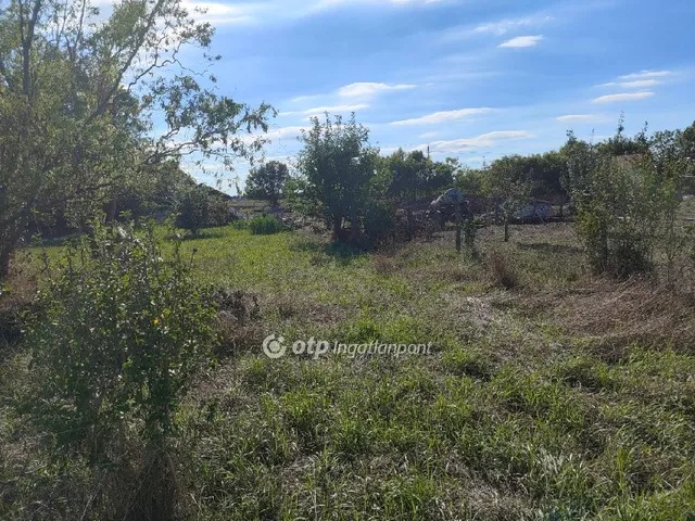 Eladó ház Füzesgyarmat 91 nm