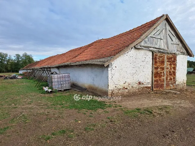 Eladó mezőgazdasági ingatlan Kunmadaras 6415 nm