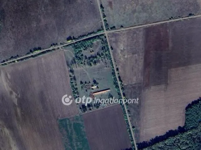 Eladó mezőgazdasági ingatlan Kunmadaras 6415 nm