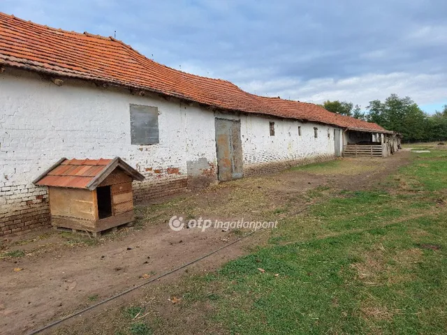 Eladó mezőgazdasági ingatlan Kunmadaras 6415 nm