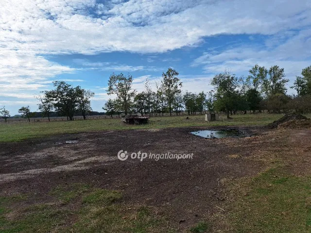 Eladó mezőgazdasági ingatlan Kunmadaras 6415 nm